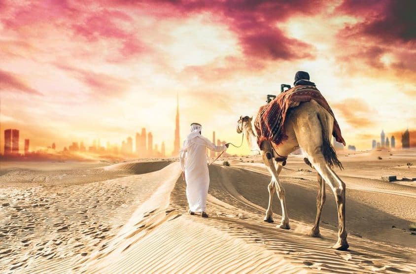 Camelo árabe guiado por um Emirado, com Burj Khalifa ao fundo.