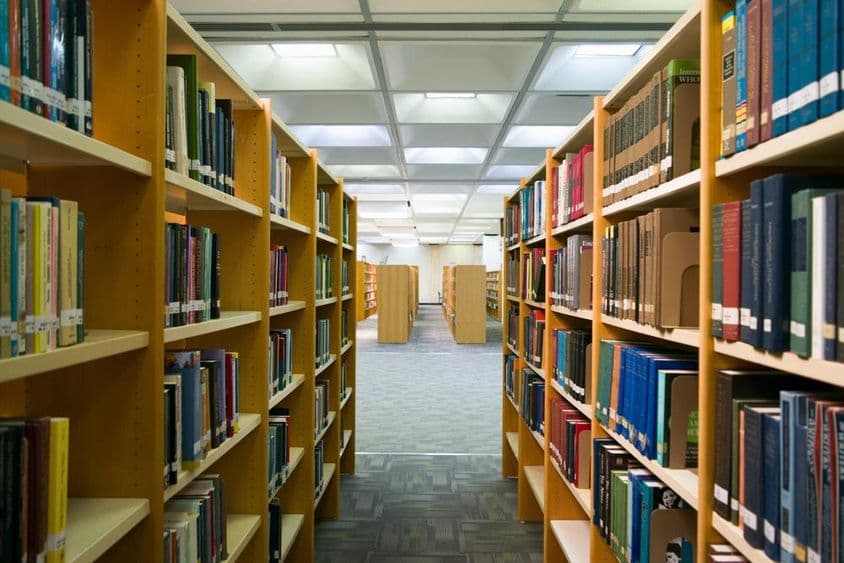 Uma biblioteca é visível com prateleiras contendo livros.