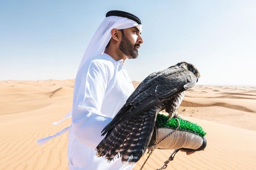 Um caçador emiradense segurando um falcão no braço no deserto.