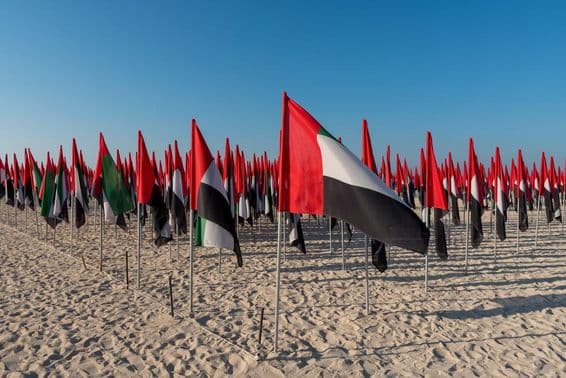 Bandeiras dos EAU plantadas em uma praia.