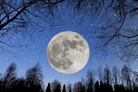 Lua cheia em um céu estrelado.