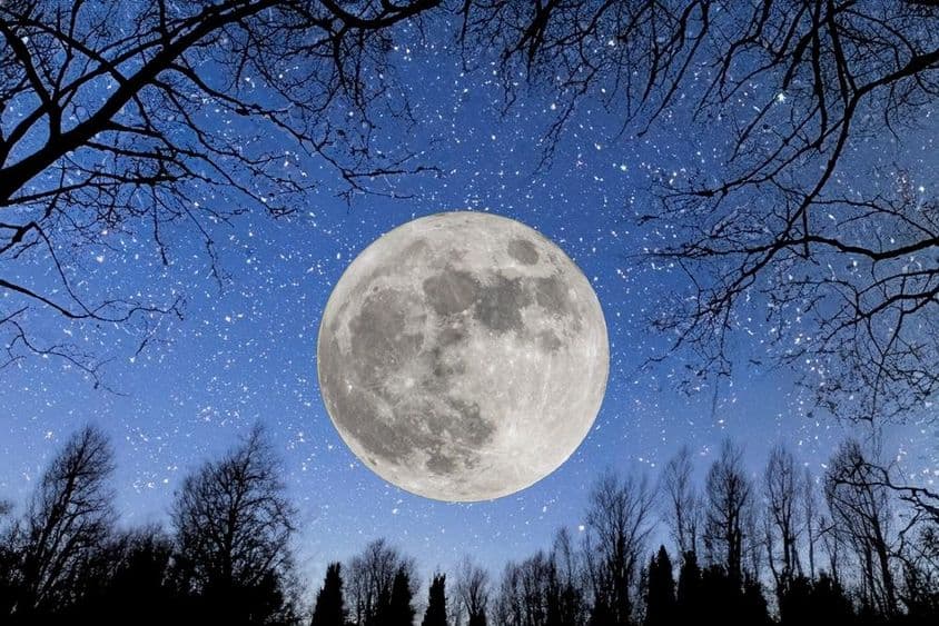 Lua cheia em um céu estrelado.
