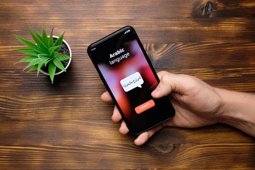Dicionário rodando em um telefone.