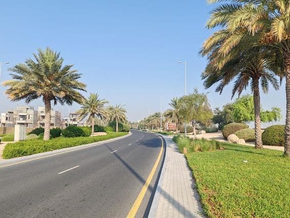 Estrada de Dubai com palmeiras e grama verde.