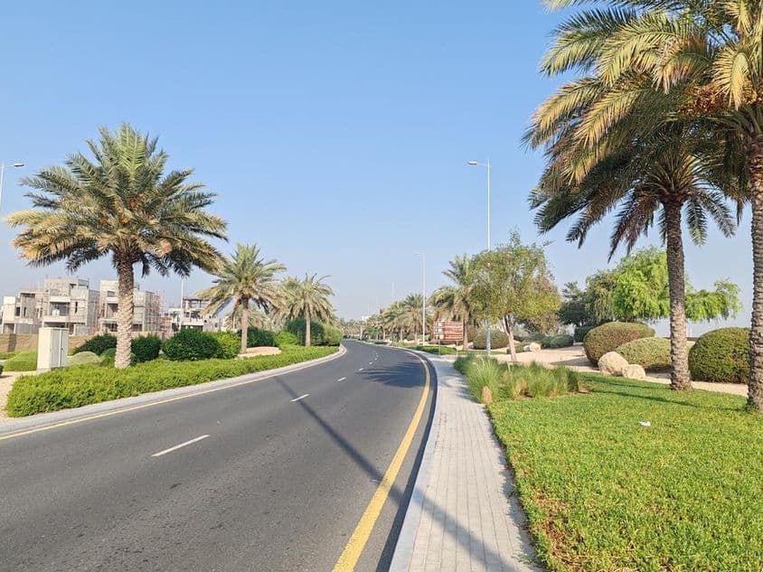 Estrada de Dubai com palmeiras e grama verde.