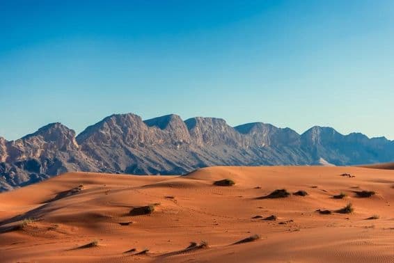 Deserto dos Emirados Árabes Unidos com montanhas ao fundo.