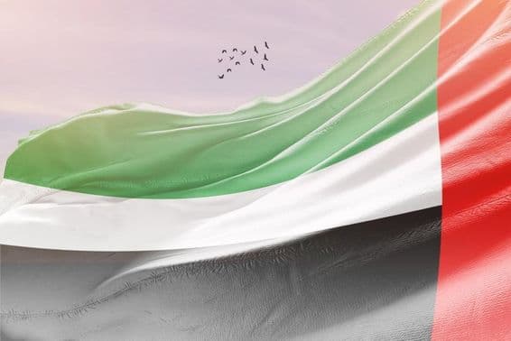 Bandeira dos Emirados Árabes Unidos tremulando ao vento.