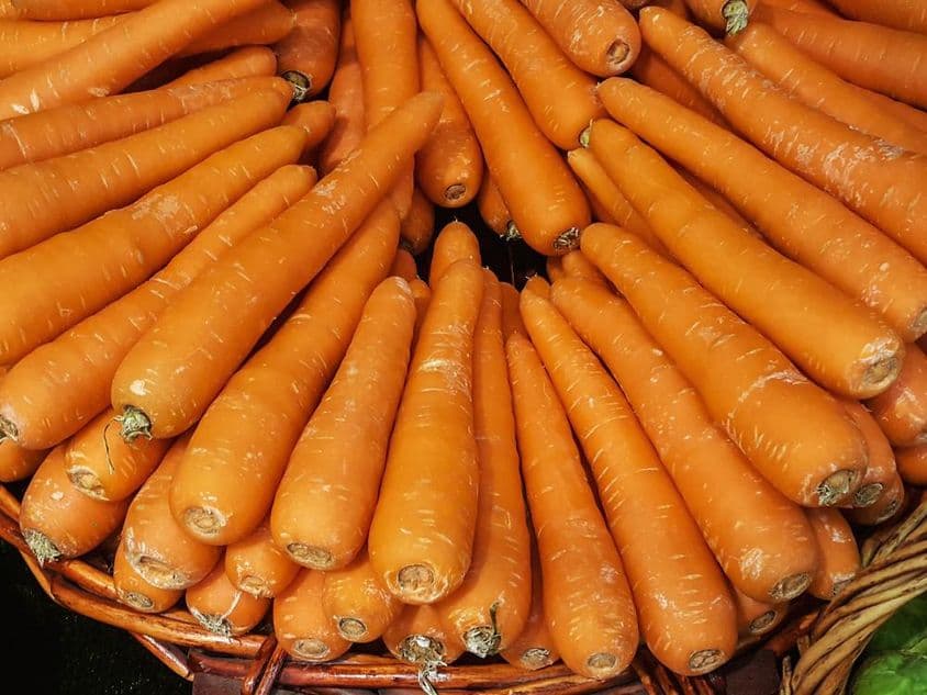 Cenouras.