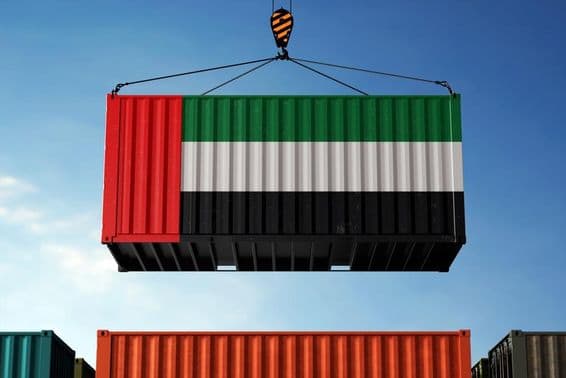 Um guindaste levantando um contêiner pintado com as cores da bandeira dos EAU.