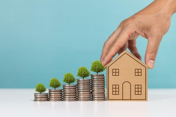 Moedas com árvore crescendo, indicando crescimento de investimento imobiliário.