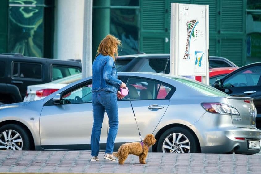 Mulher passeando com um cão em Dubai, Emirados Árabes Unidos.