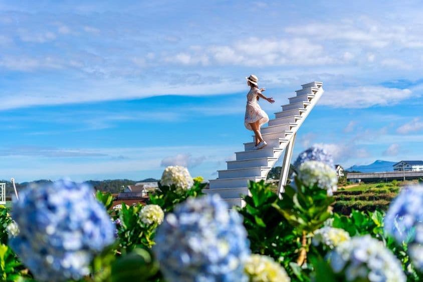Jovem viajante apreciando um jardim de hortênsias em flor.