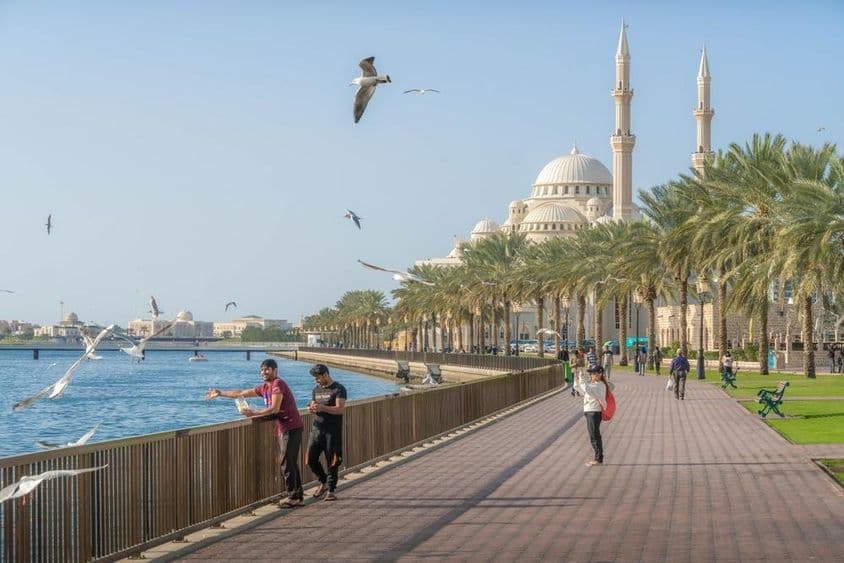 Sharjah, apresentando a Mesquita Al Noor, Lagoa Khalid e o Golfo Pérsico, com palmeiras e uma vista da cidade.