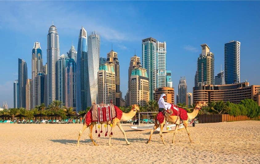 Vista da Marina de Dubai, camelos e a famosa Praia Jumeirah em Dubai.