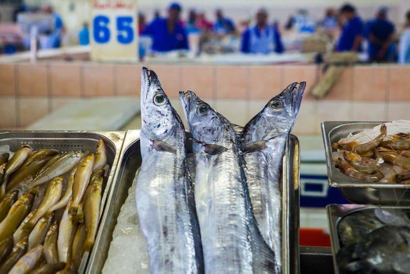 Abu Dhabi, mercado de peixes camarão no gelo.