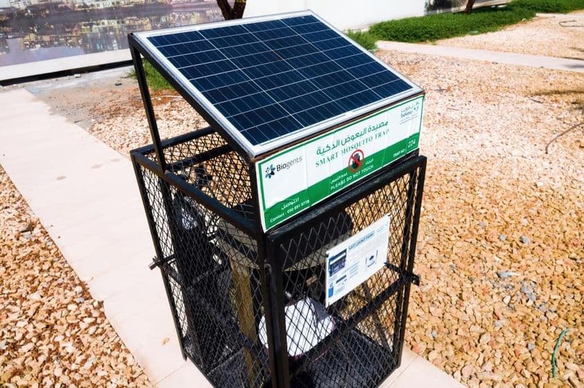 Abu Dhabi, equipamento industrial de rua mata-mosquitos.