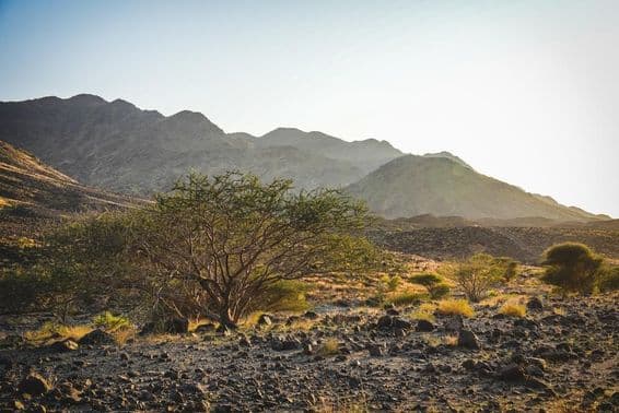 O terreno acidentado de Wadi Shawka em Ras Al Khaimah com trilhas rochosas.