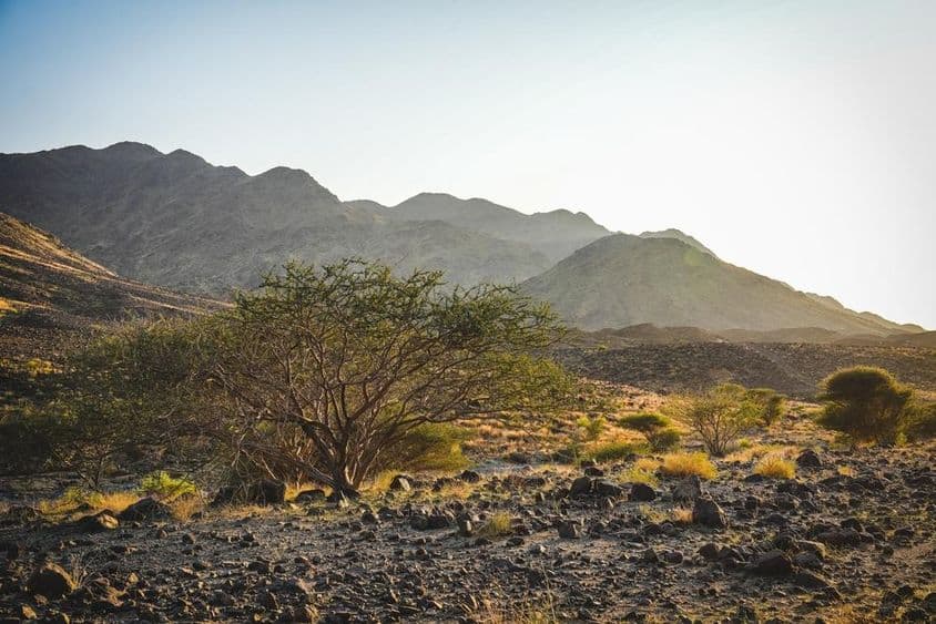 O terreno acidentado de Wadi Shawka em Ras Al Khaimah com trilhas rochosas.
