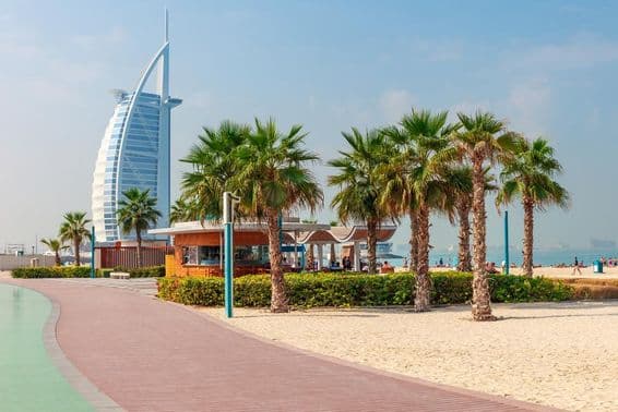 Praia bonita com palmeiras em Dubai.