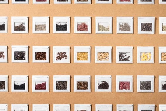 Sementes coloridas de diversos vegetais e especiarias isoladas em pequenos envelopes feitos à mão.