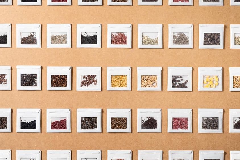 Sementes coloridas de diversos vegetais e especiarias isoladas em pequenos envelopes feitos à mão.
