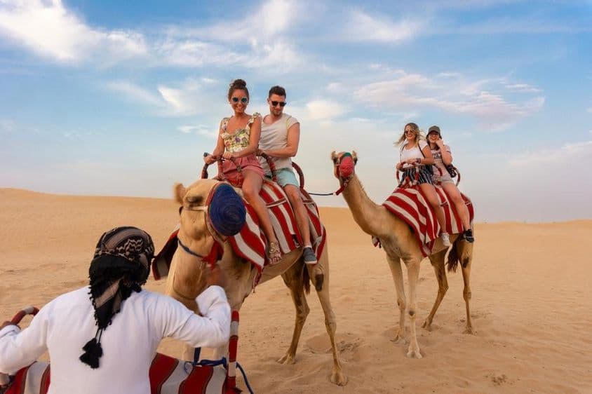 Passeio de camelo no deserto com dois camelos decorados.