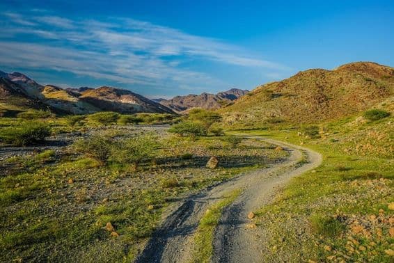 Montanhas verdes nos Emirados Árabes Unidos.