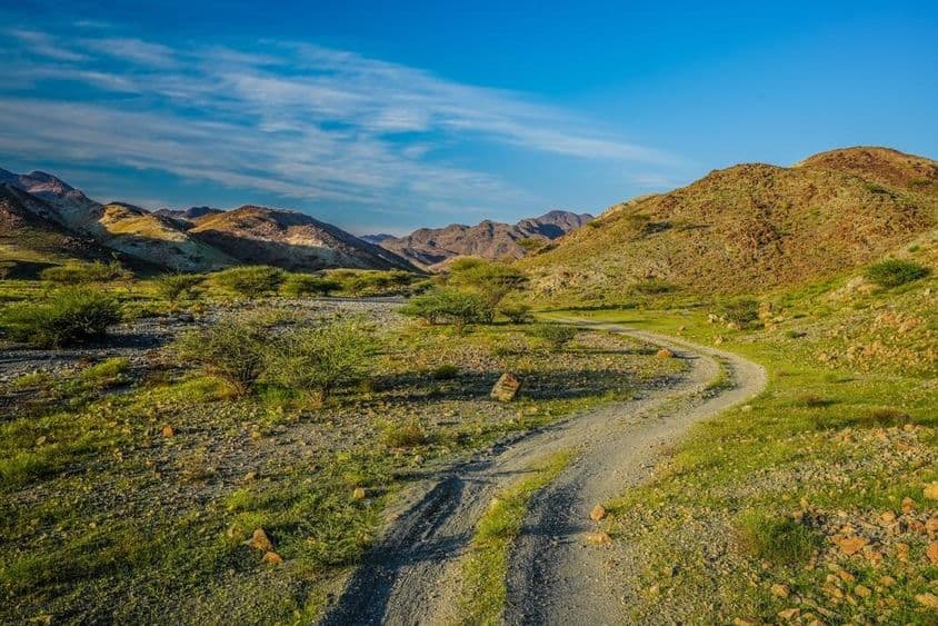 Montanhas verdes nos Emirados Árabes Unidos.