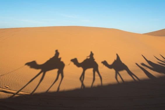 A sombra de um camelo nas dunas de areia do deserto do Saara.