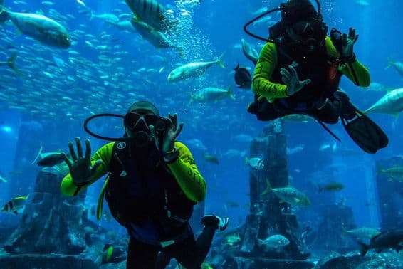 Grande aquário no Hotel Atlantis em Dubai, Emirados Árabes Unidos.