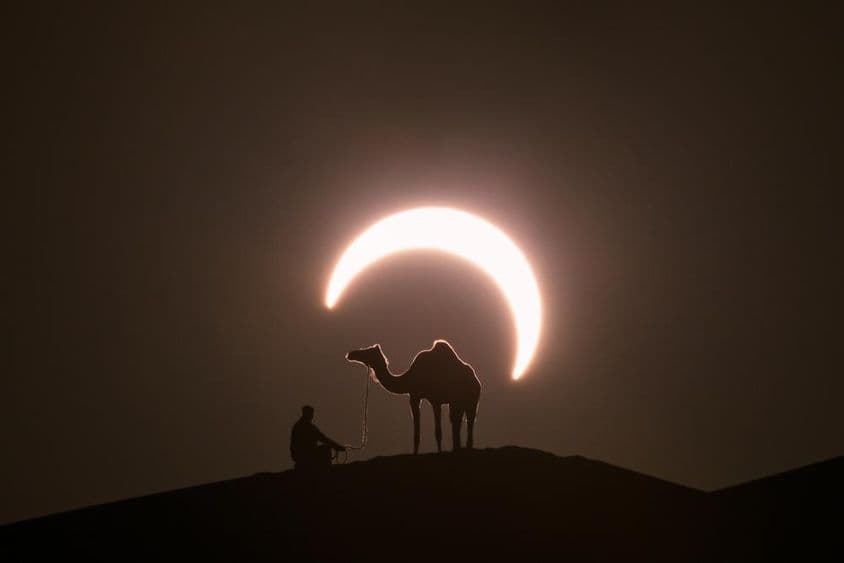 Eclipse solar anular no deserto com a silhueta de um camelo dromedário.