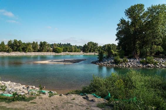 A margem do Rio Bow em Calgary, Alberta, Canadá.