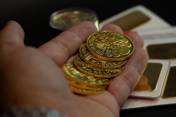 Segurando moedas de ouro austríacas reais na mão.
