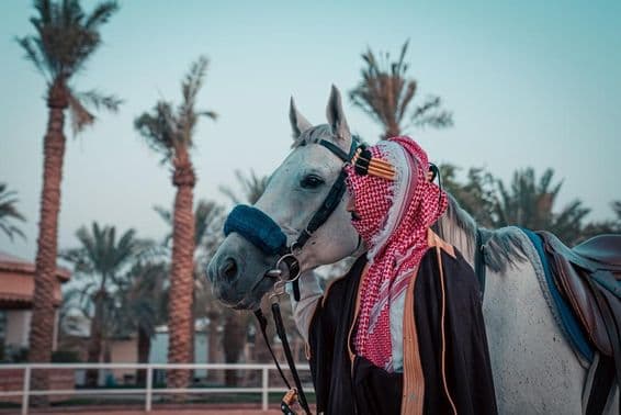 Um cavalo com palmeiras ao fundo.