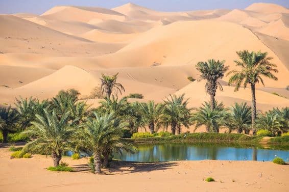 Al Ain, Abu Dhabi, Emirados Árabes Unidos.
