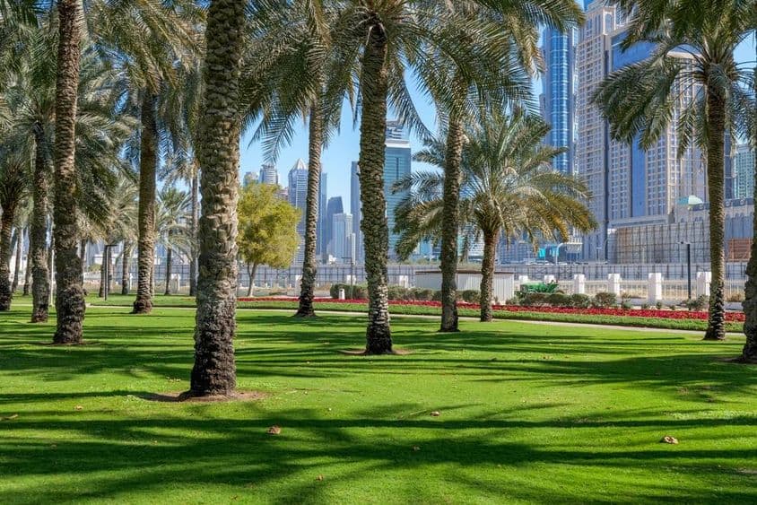 Oásis verde no coração de Dubai.