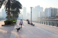 Uma mulher caminhando com seu cachorro na cidade durante o nascer do sol.