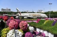 Jardim dos Milagres de Dubai durante o dia.