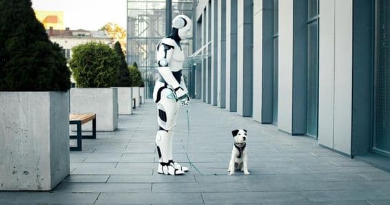 Máquina com inteligência artificial passeando com um cachorro pela manhã.