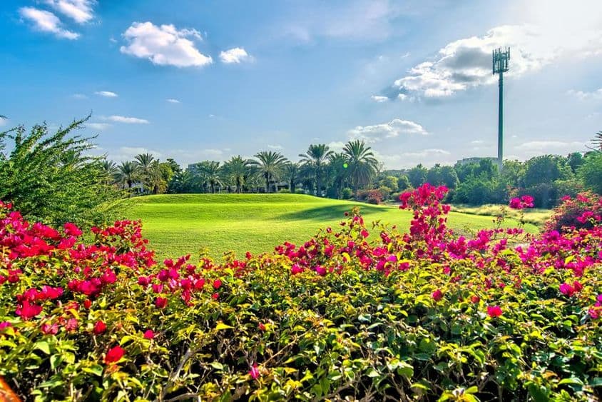 Bela manhã com flores e um campo de golfe em Dubai.
