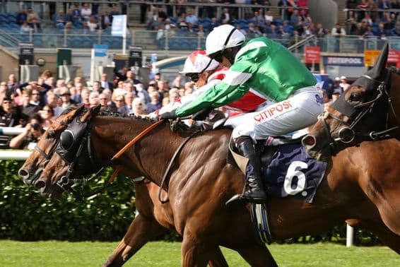 Corrida de cavalos lendária, vencendo por pouco.