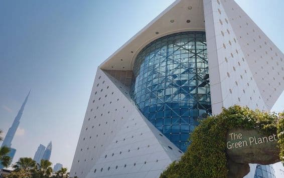 Um ecossistema único no planeta verde em Dubai.