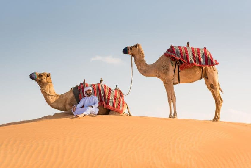 Um homem árabe em traje tradicional Kandura com dois camelos no deserto.