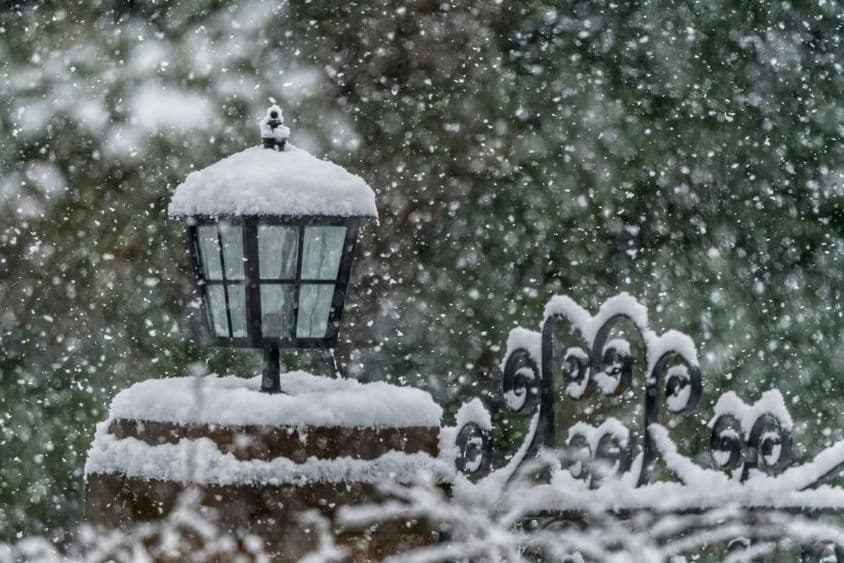 Neve em um jardim durante o inverno.