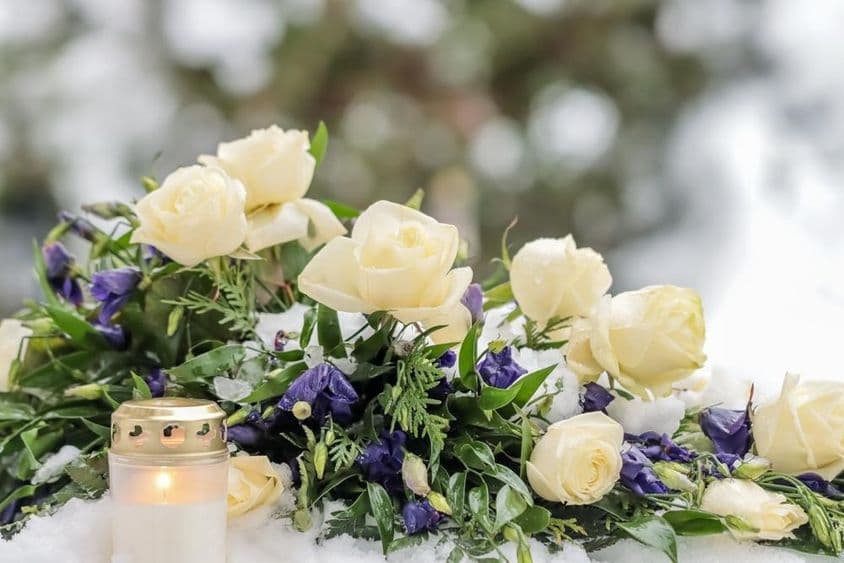 Um belo buquê de flores azuis e brancas.