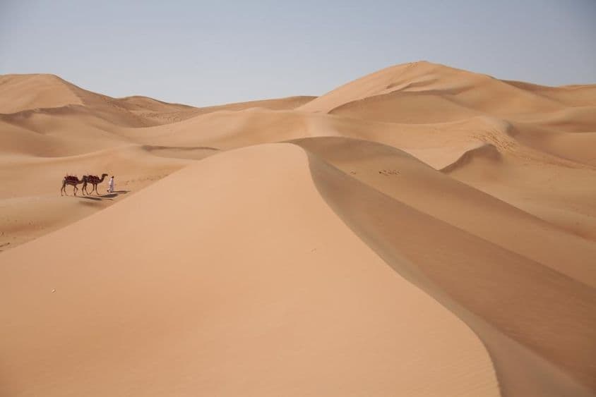 Camelos no deserto em Dubai.