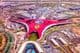 Abu Dhabi, o Parque Ferrari World.