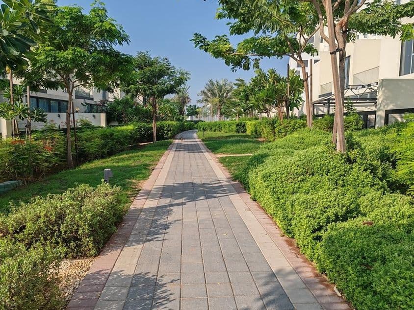 Dubai verde com paisagens exuberantes, tapetes de grama e árvores.