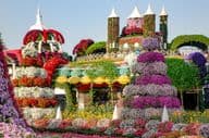 Dubai Miracle Garden repleto de castelos de contos de fadas e mais de 45 milhões de flores.