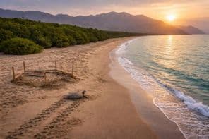 Tesouro Preservado da Praia de Kalba